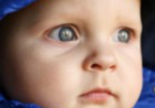 הסיפור של אריה