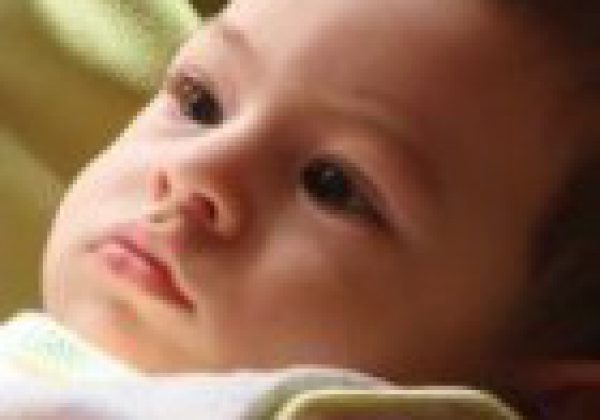 הסיפור של יעקובי