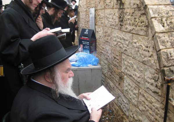 הישועה מובטחת! בבית השונמית